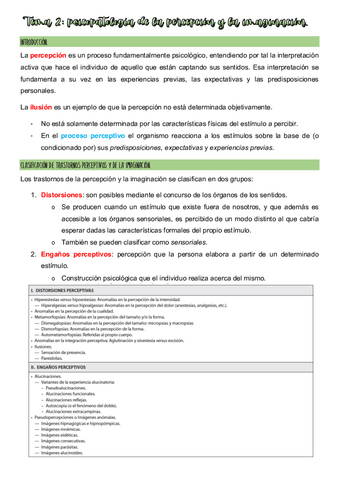 Tema-2-psicopatologia.pdf