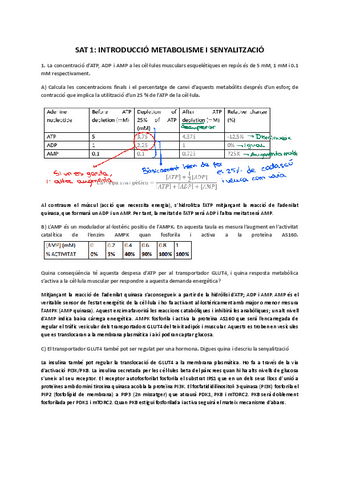 SATs.pdf
