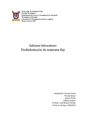 INFORME-Deshidratacion-de-manzana-FUJI.pdf