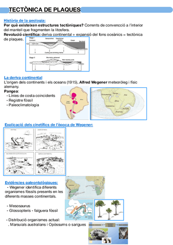 Tectonica-de-plaques.pdf