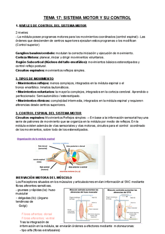 FISIOLOGIA-T17.pdf