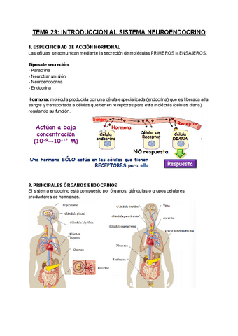FISIOLOGIA-T29.pdf