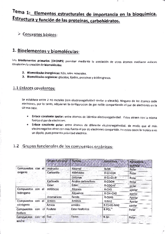 tema-1.-Elementos-estructurales-de-imp-en-bioquimica.pdf