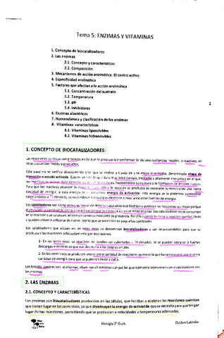 tema-2.-enzimas.pdf