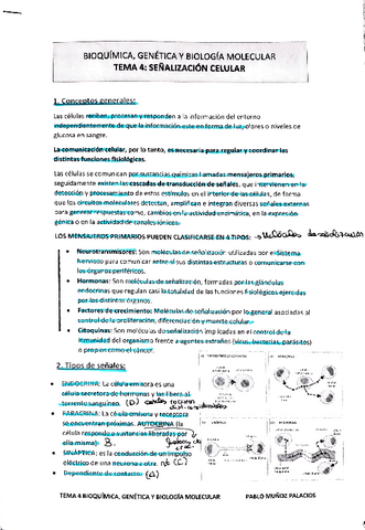 t4-senalizacion-celular.pdf