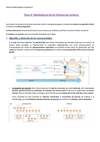 Tema-6.-metabolismo-hidratos-de-carbono.pdf