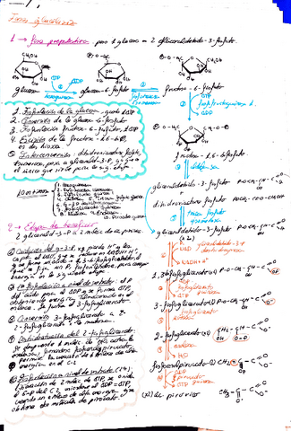 tema-6-bioqui.pdf