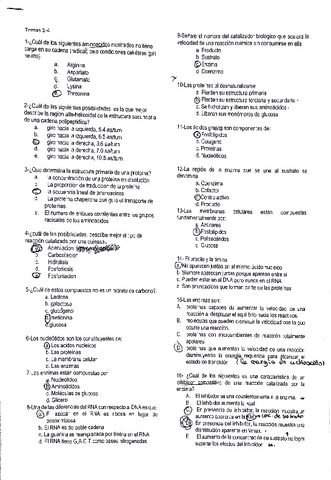 autoevsopas-de-letas-bioquimica.pdf