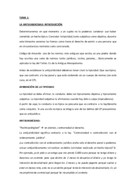 penal Tema 1.pdf
