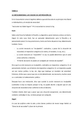 penal Tema 3.pdf