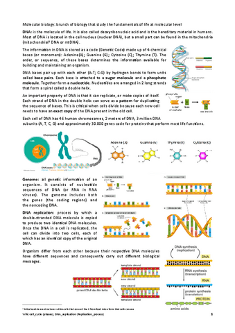 Summary-Molecular-Biology-Central-Dogma.pdf