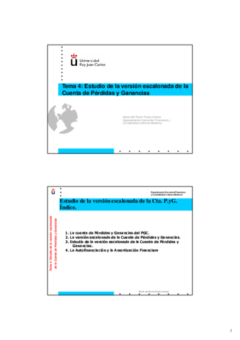 Tema 4.pdf