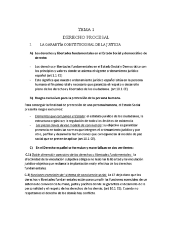 PROCESAL-ENTERO-DEFIITIVO-PDF.pdf