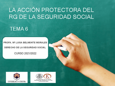 TEMA-6-LA-ACCION-PROTECTORA.pdf