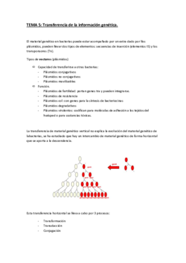 05_TRANSFERENCIA_DE_LA_INFORMACION_GENETICA.pdf