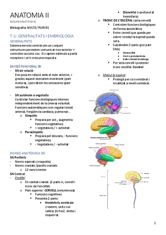 ANATOMIA-II-neus.pdf