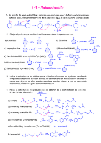 Autoevaluacion-resuelta-T4-Aldehidos-y-cetonas.pdf