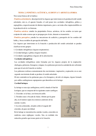 TEMA-2.-FONETICA-ACUSTICA-AUDITIVA-Y-ARTICULATORIA.pdf