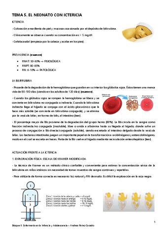 Tema-5.-Ictericia-neonatal.pdf