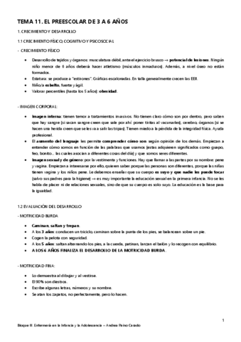 Tema-11.-El-preescolar-de-3-a-6-anos.pdf