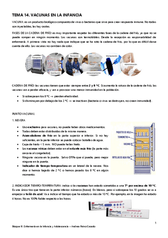 Tema Vacunas En La Infancia Pdf