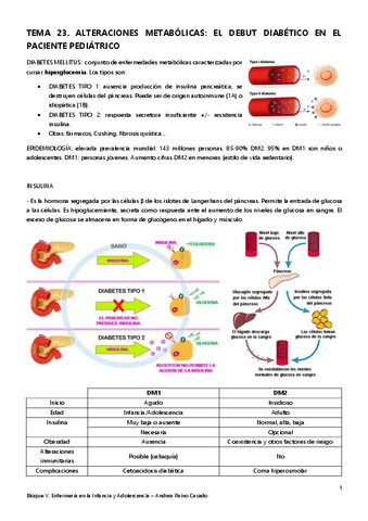 Tema-23.-Alteraciones-metabolicas-el-debut-diabetico-en-el-paciente-pediatrico.pdf