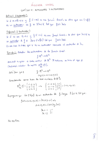 Algebra-Lineal-tema-4-teoria.pdf