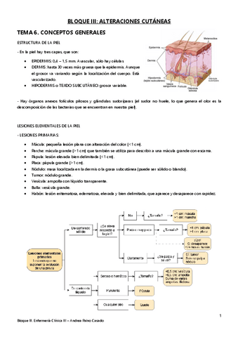 Tema-6.-Conceptos-generales.pdf