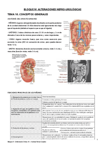 Tema-10.-Conceptos-generales.pdf