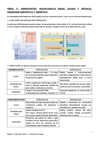 Tema-11.-Nefropatias-IR-Sd-nefrotico-y-nefritico.pdf