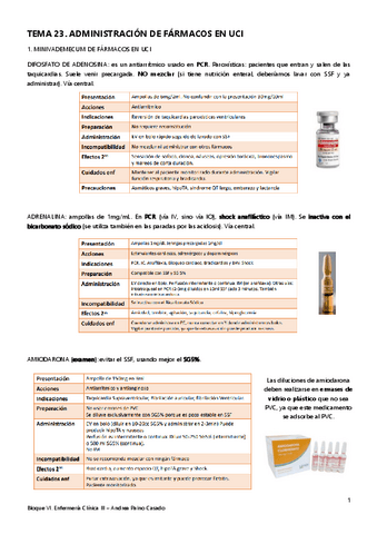 Tema-23.-Administracion-de-farmacos-en-UCI.pdf