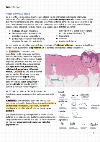 6-Perla-dermatologica.pdf