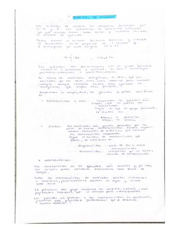 2.-Hidratos-de-carbono.pdf