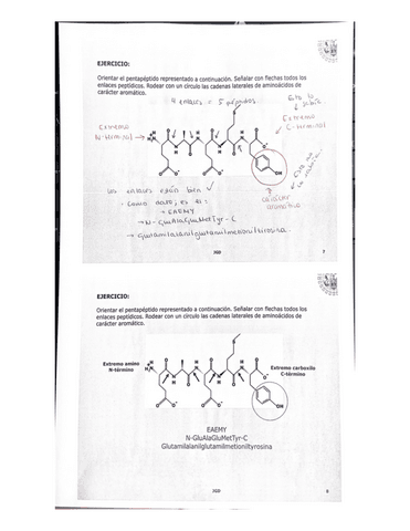 tema-4.-Proteinas-2.pdf