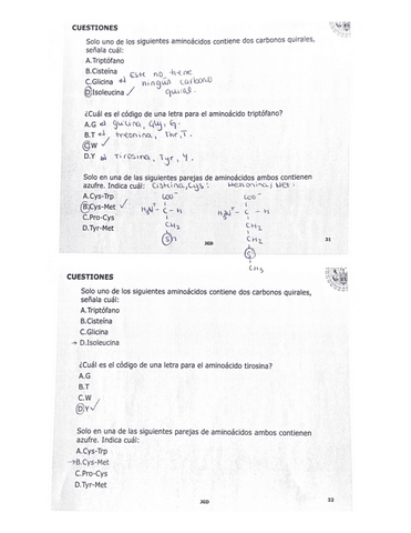 tema-3.-Proteinas-1.pdf