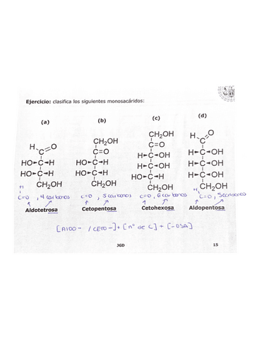 tema-2.-Hidratos-de-carbono.pdf