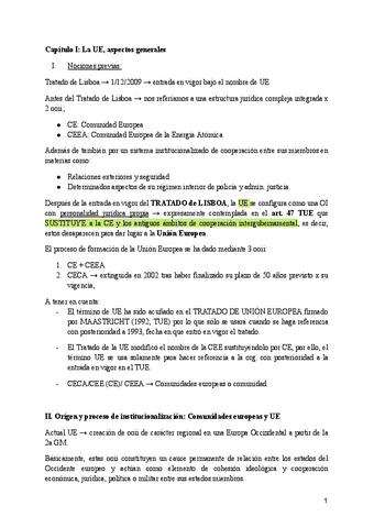 MANUAL-de-derecho-comunitario-europeo.pdf