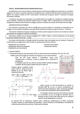 TEMA-5.-TRANSFORMACION-DE-ENERGIA-BIOLOGICA.pdf