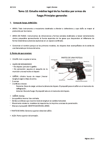 TEMA-17.-Principios-generales-armas-de-fuego.pdf