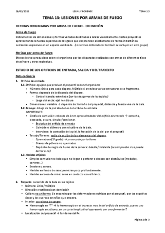 Tema-18.-Armas-de-fuego.pdf