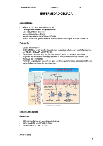 5.-Celiaquia.pdf