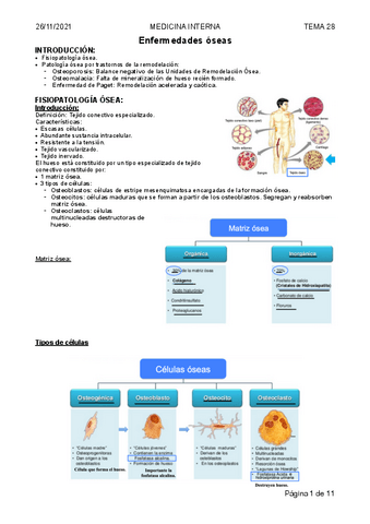 Tema-28-Enfermedades-oseas.pdf