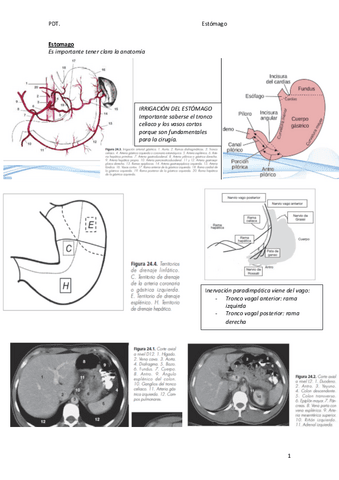 Gastrico.pdf
