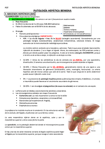 PATOLOGIA-HEPATICA-BENIGNA.pdf