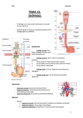 TEMA-13.-Esofago..pdf
