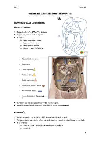 Tema-27-PDT.-Peritonitis.pdf
