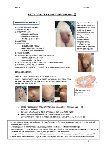 tema-19-PATOLOGIA-DE-LA-PARED-ABDOMINAL.pdf