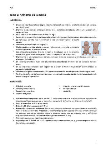 Tema-3-anatomia-de-la-mama.pdf