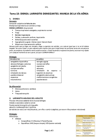 Tema-13.-LaringitisPt1.pdf