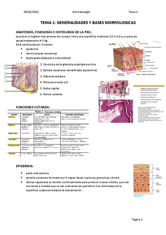 Tema-1.-Generalidades.pdf